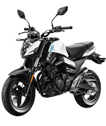 CFMoto ST Papio